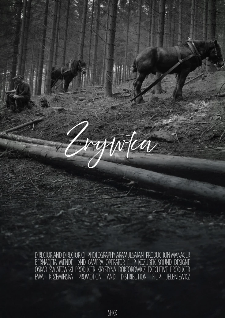 Zrywka
