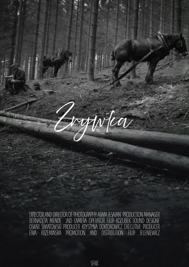 Zrywka